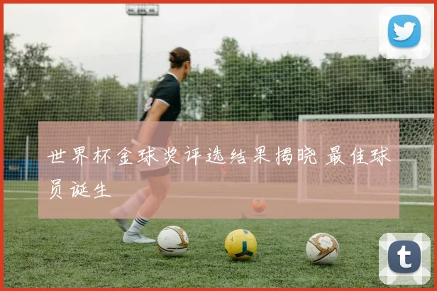 世界杯金球奖评选结果揭晓 最佳球员诞生
